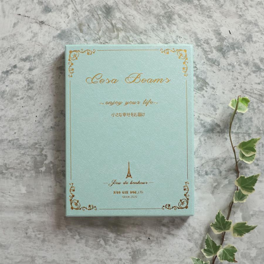 cesa Beams カトラリーセット ギフトボックス 結婚祝い ギフト食器