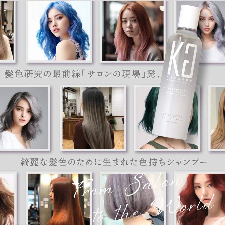 KYOGOKU PROFESSIONAL 公式 20%OFF【 KYOGOKU カラーケアシャンプー
