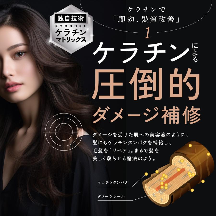 KYOGOKU PROFESSIONAL 公式 セットで35%OFF 【 KYOGOKU ケラチン