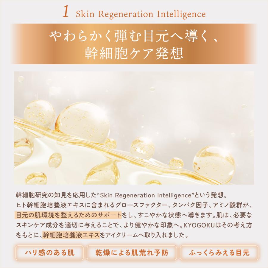 KYOGOKU PROFESSIONAL 公式 【 KYOGOKU シグネチャー アイリンクル