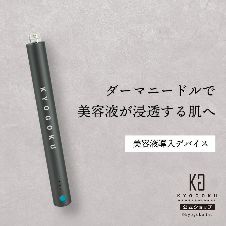 KYOGOKU PROFESSIONAL 公式 【 KYOGOKU ダーマニードル ブースト