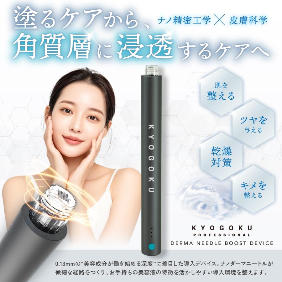 KYOGOKU PROFESSIONAL 公式 【 KYOGOKU ダーマニードル ブースト
