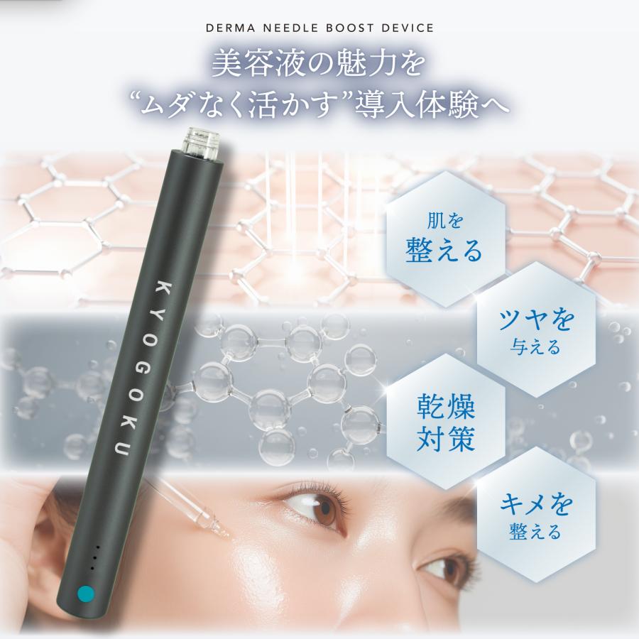 KYOGOKU PROFESSIONAL 公式 【 KYOGOKU ダーマニードル ブースト