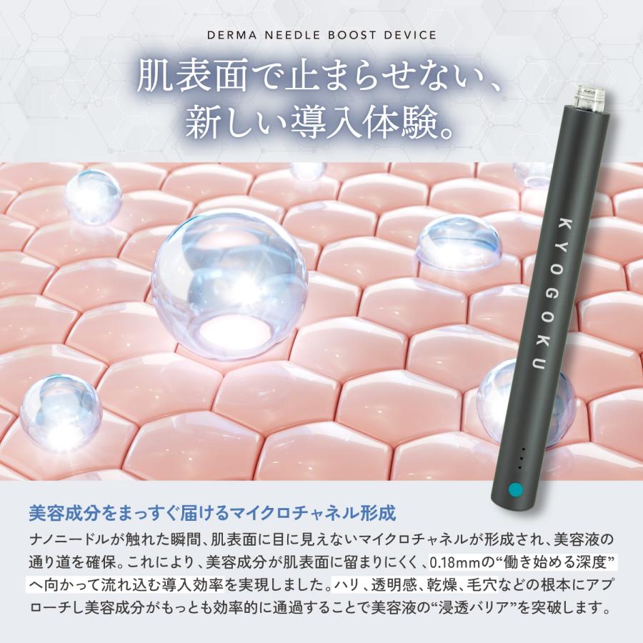 KYOGOKU PROFESSIONAL 公式 【 KYOGOKU ダーマニードル ブースト