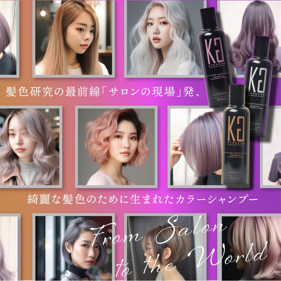 KYOGOKU PROFESSIONAL 公式 20％OFF【 KYOGOKU カラーシャンプー