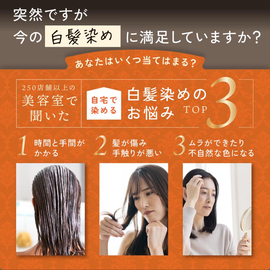 KYOGOKU PROFESSIONAL 公式 20%OFF 【 カラーシャンプー KYOGOKU PROFESSIONAL 公式 20%OFF 【 カラーシャンプー