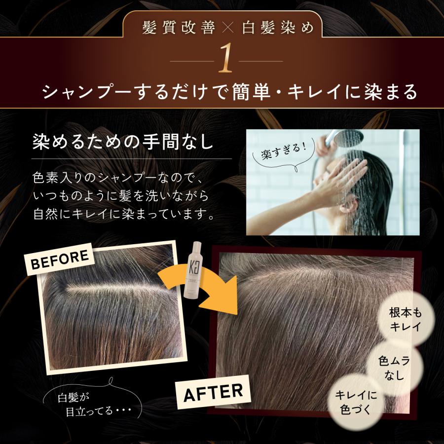 KYOGOKU PROFESSIONAL 公式 20%OFF 【 カラーシャンプー KYOGOKU PROFESSIONAL 公式 20%OFF 【 カラーシャンプー