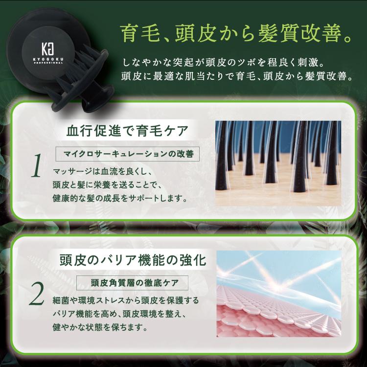 KYOGOKU PROFESSIONAL 公式 【 KYOGOKU ネイチャーブースター+