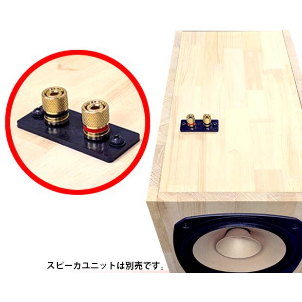 WP-ENFE20 20cm バックロードホーンエンクロージャー組立キット (1本