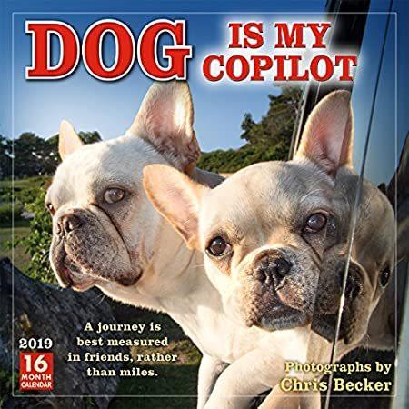 注目の Dog Is My Copilot 19 Calendar Times K 通販 Yahoo ショッピング 楽天市場 Sobrancelhas Com Br