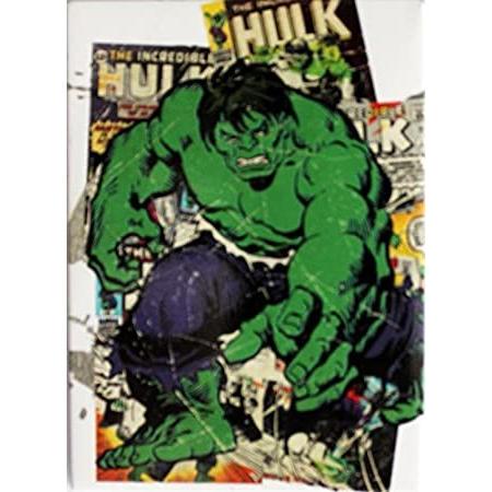 100％の保証 Magnet Marvel Comics Retro Hulk Big Action Figure, 2.5 x 3.5" 並行輸入品 その他