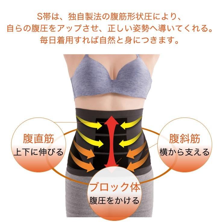 兼子ただし 完全監修 S帯 2枚組 エスおび エスオビ えすおび 腹 兼子ただし 完全監修 S帯 2枚組 エスおび エスオビ えすおび 腹