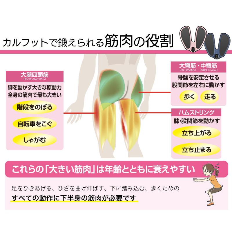 カルフット Calfoot おまけ付き テレビショッピング Qvc Qvc Ems Ems 座るだけ 最新足裏ems ふくらはぎ 足裏 ヒップ お尻 Ecc Cl Ccf10 曲線美 補正下着ショップ 通販 Yahoo ショッピング