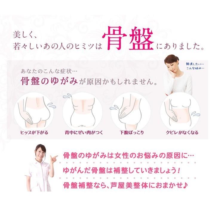 芦屋美整体 骨盤スッキリベルト スリムニッパー２枚組 ウエストニッパー 骨盤ベルト 骨盤ショーツ 骨盤 口コミ 産後 Kony 24 曲線美 補正下着ショップ 通販 Yahoo ショッピング