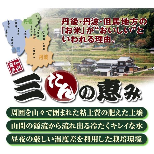 農薬不使用 お米 コシヒカリ白米 玄米 但馬産 コウノトリ育む幸福米 3合 お試し 一等米 全国送料無料 令和5年産｜kyomaido｜02