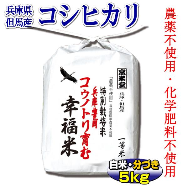 農薬不使用 お米 5kg コシヒカリ 特別栽培米 兵庫県 但馬産 コウノトリ