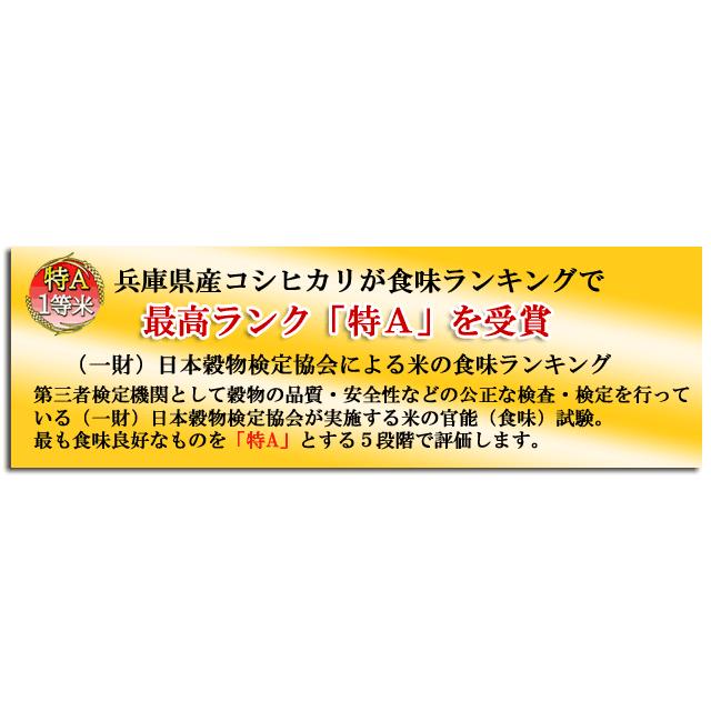 コシヒカリ お米 10kg 白米 当日精米 5kg×2 兵庫県 但馬産 一等米 令和