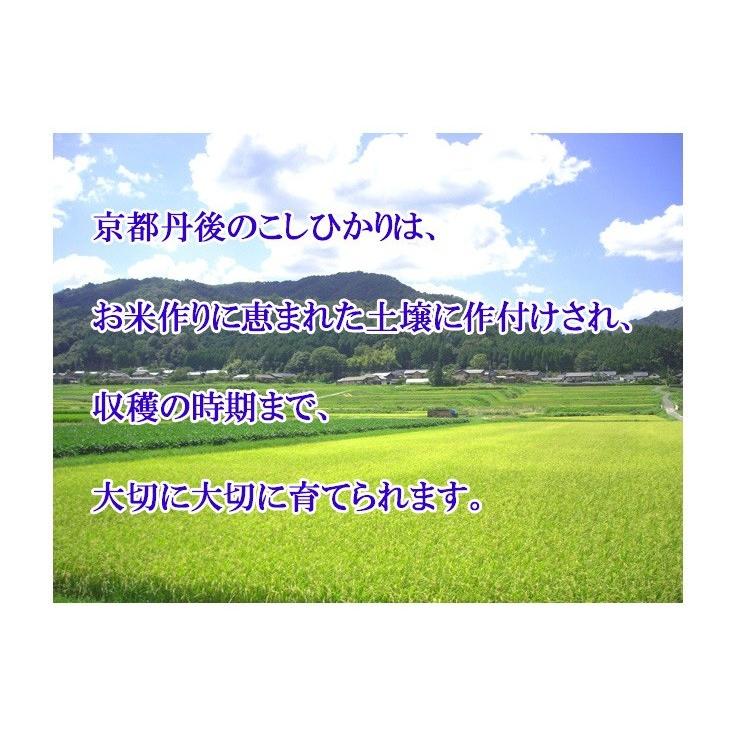 お米 コシヒカリ 京都府 丹後産 検査一等米 450ｇ 全国送料無料 メール便発送 令和5年産 お試し ポイント消化 小分け 安い｜kyomaido｜04