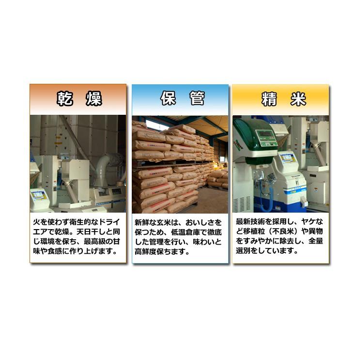 令和1年産「京都府丹後産どんとこい」玄米30Kg数量限定！普通精米