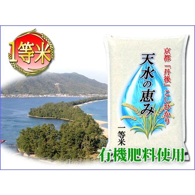 コシヒカリ お米 玄米 10kg こしひかり 京都米 丹後産 天水の