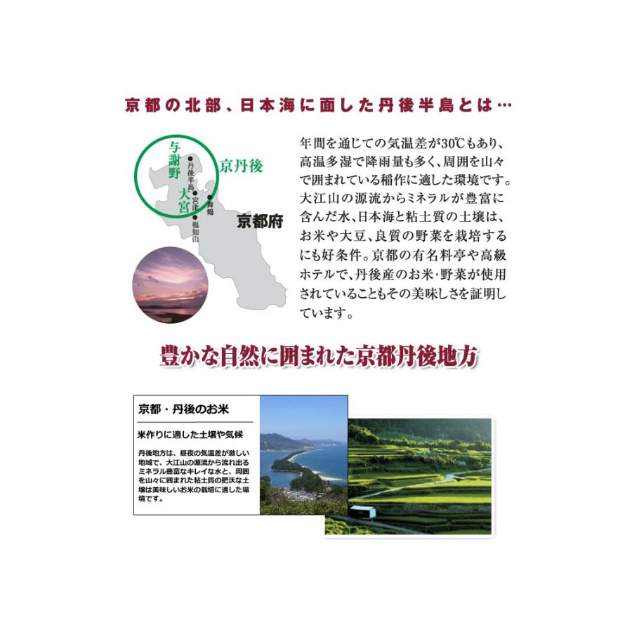 新羽二重糯 もち米 900g 白米 450g×2袋 6合 京都府 丹後産産 新羽二重糯 もち米 900g 白米 450g×2袋 6合 京都府 丹後産産