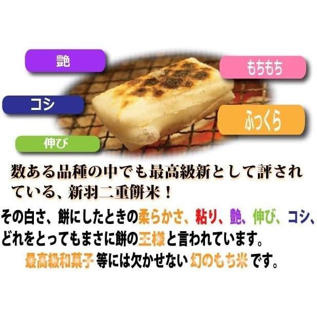 新羽二重糯 もち米 900g 白米 450g×2袋 6合 兵庫県 但馬産 新羽二重