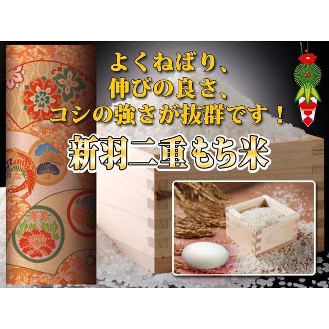 新羽二重糯 もち米 5kg 白米 兵庫県 但馬産 新羽二重 令和7年産 : 産直