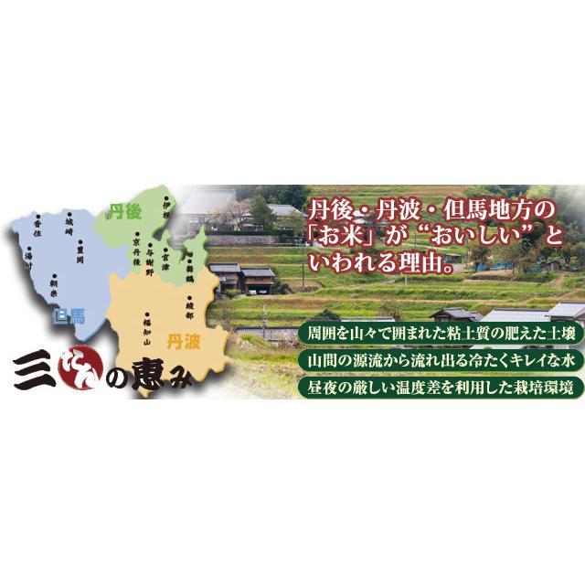 新羽二重糯 もち米 5kg 白米 兵庫県 但馬産 新羽二重 令和7年産 : 産直