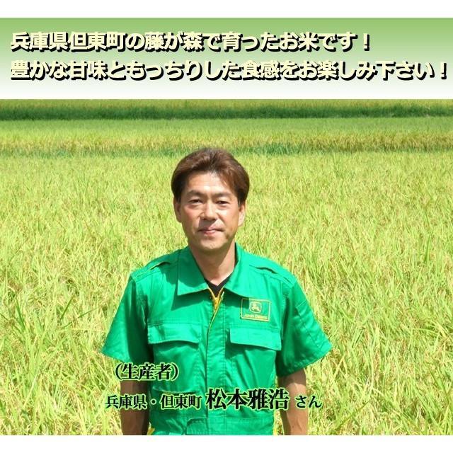 新羽二重糯 もち米 5kg 白米 兵庫県 但馬産 新羽二重 令和7年産 : 産直
