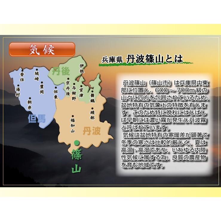 コシヒカリ お米 10kg 玄米 5kg×2 農薬不使用 兵庫県 丹波篠山産 特A