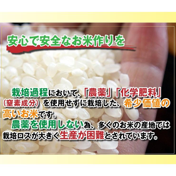 コシヒカリ お米 10kg 玄米 5kg×2 農薬不使用 兵庫県 丹波篠山産 特A