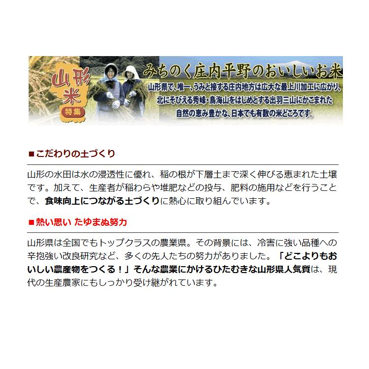 お米 はえぬき 5kg 山形県産 白米 玄米 分づき可 一等米 当日精米 令和5年産｜kyomaido｜07