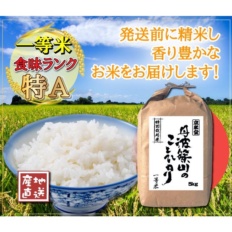 お米 10kg コシヒカリ 白米 玄米 分づき可 特別栽培米 7.5割農薬減 兵庫県 丹波篠山産 特A 一等米 送料無料 令和5年産｜kyomaido｜06