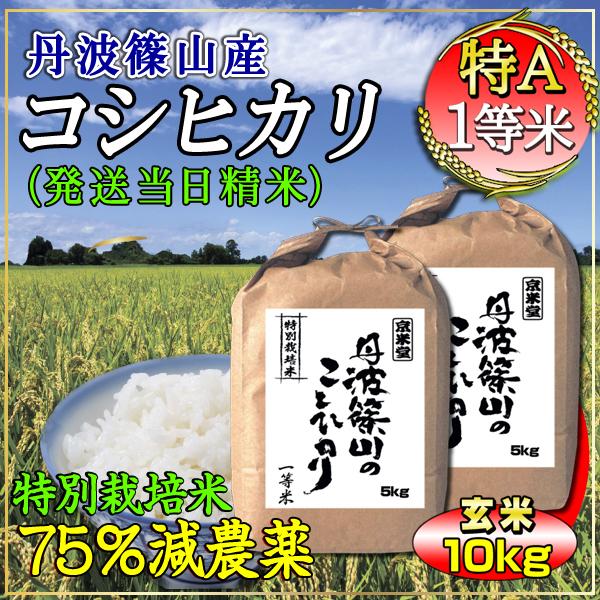 お米 10kg コシヒカリ 玄米 5kg 2 特別栽培米 7 5割農薬減 兵庫県 丹波篠山産 特a 一等米 送料無料 令和2年産 タイムセール 安い Tb2712 産直通販 おいしいお米は京米堂 通販 Yahoo ショッピング