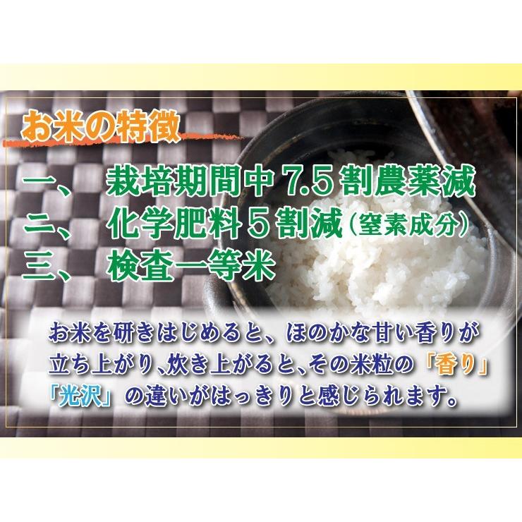 お米 コシヒカリ 白米 玄米 選択可能 450g×2袋 7.5割農薬減 兵庫県 丹波篠山産 一等米 全国送料無料 s51120｜kyomaido｜05