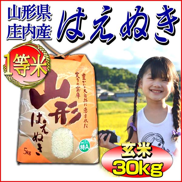 新米 お米 はえぬき 玄米 30kg 山形県庄内産 一等米 5kg×6袋  