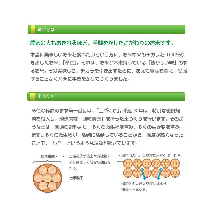 はえぬき 発送日 当日精米 お米 3kg 命仁 白米 玄米 分搗き 山形 はえぬき 発送日 当日精米 お米 3kg 命仁 白米 玄米 分搗き 山形