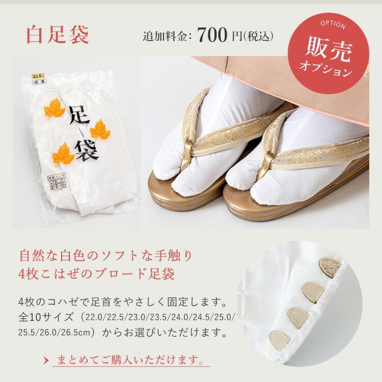 薄紫地に白菊 卒業式 袴セット 着物 6点 フルセット モダン 女 大学 