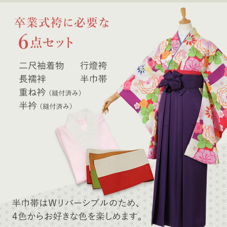 黒縞にバラ 卒業式 袴セット 着物 6点 フルセット モダン 女 大学 