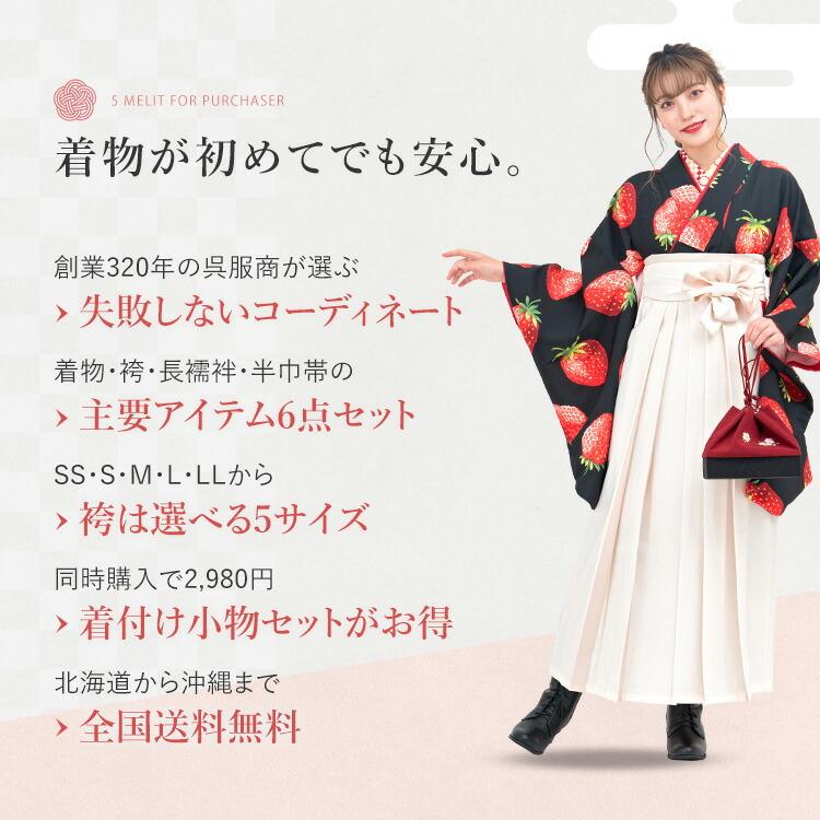 卒業式(高校/大学) 袴セット 6点フルセット 二尺袖(黒地に苺)+バイ