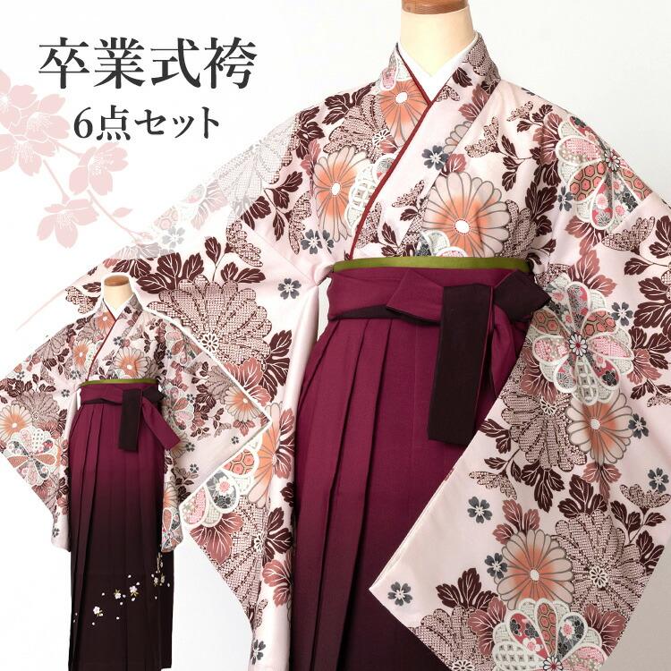 卒業式(高校/大学) 袴セット 6点フルセット 二尺袖(薄桃色地に菊尽くし