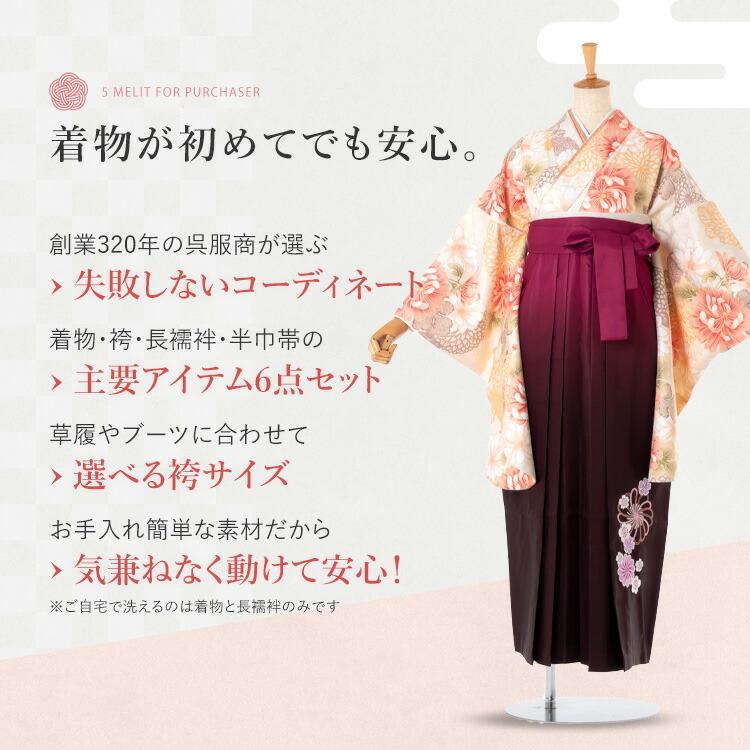 卒業式(高校/大学) 袴セット 6点フルセット 二尺袖(クリーム地に菊)+ 