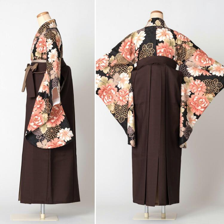 黒地に菊＆切り替え袴ブラウン 卒業式 袴セット 着物 6点 フルセット 