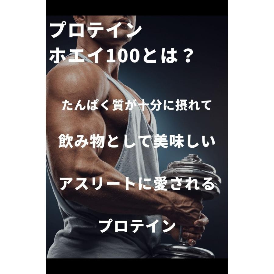 国内発送 はないちもんめdns プロテイン グルタミン セット カフェオレ風味 Hanatomi Co Jp