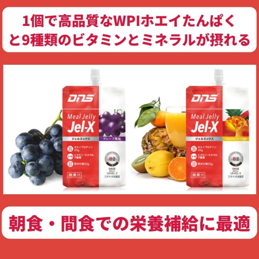 輝く高品質な DNS ジェルエックスJel-X グレープ風味 285g×6個入り 期間限定お買い得プライス DNS ジェルエックス(Jel-X) グレープ風味 トロピカルフルーツ風味 285g×24個