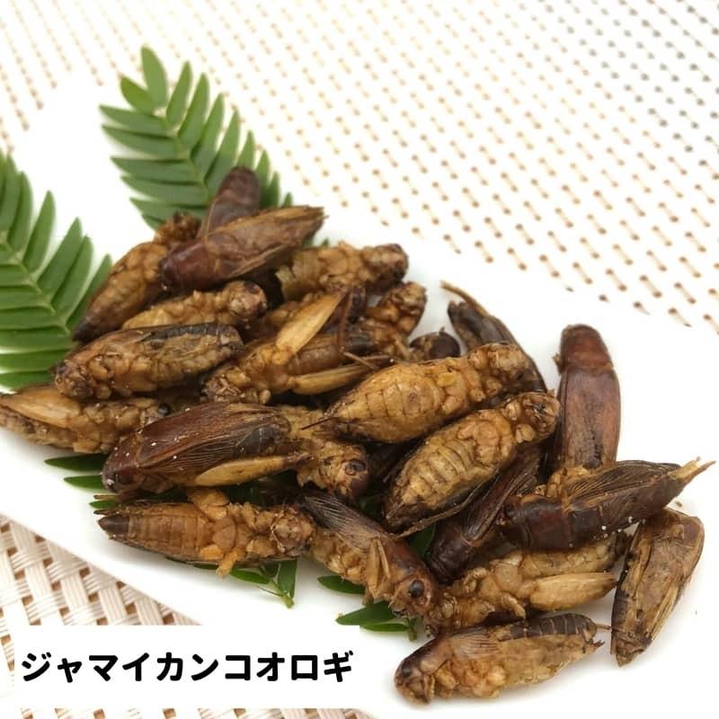 昆虫食 入門 Jrユニーク 食用 食べる虫 4種の昆虫 バッタ コオロギ ワーム イナゴ 高たんぱく 天然サプリ 昆虫スナック 罰ゲーム サプライズ Jru001 Breakist Yahoo 店 通販 Yahoo ショッピング