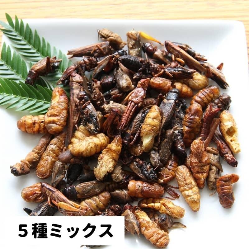昆虫食入門 Jrユニーク 食用 食べる虫 昆虫スナック タガメ サゴワーム バグケバブ コガネムシ ゲンゴロウ シルクワーム サソリ Jru005 Breakist Yahoo 店 通販 Yahoo ショッピング