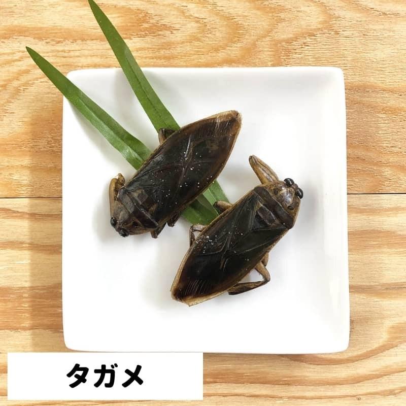 昆虫食入門 Jrユニーク 食用 食べる虫 昆虫スナック タガメ サゴワーム バグケバブ コガネムシ ゲンゴロウ シルクワーム サソリ Jru005 Breakist Yahoo 店 通販 Yahoo ショッピング