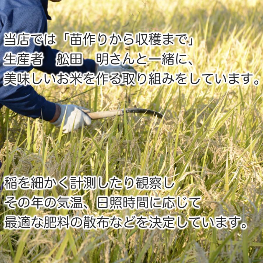 新米　会津産コシヒカリ 5kg　白米　会津豊熟米コシヒカリ　当店限定商品！