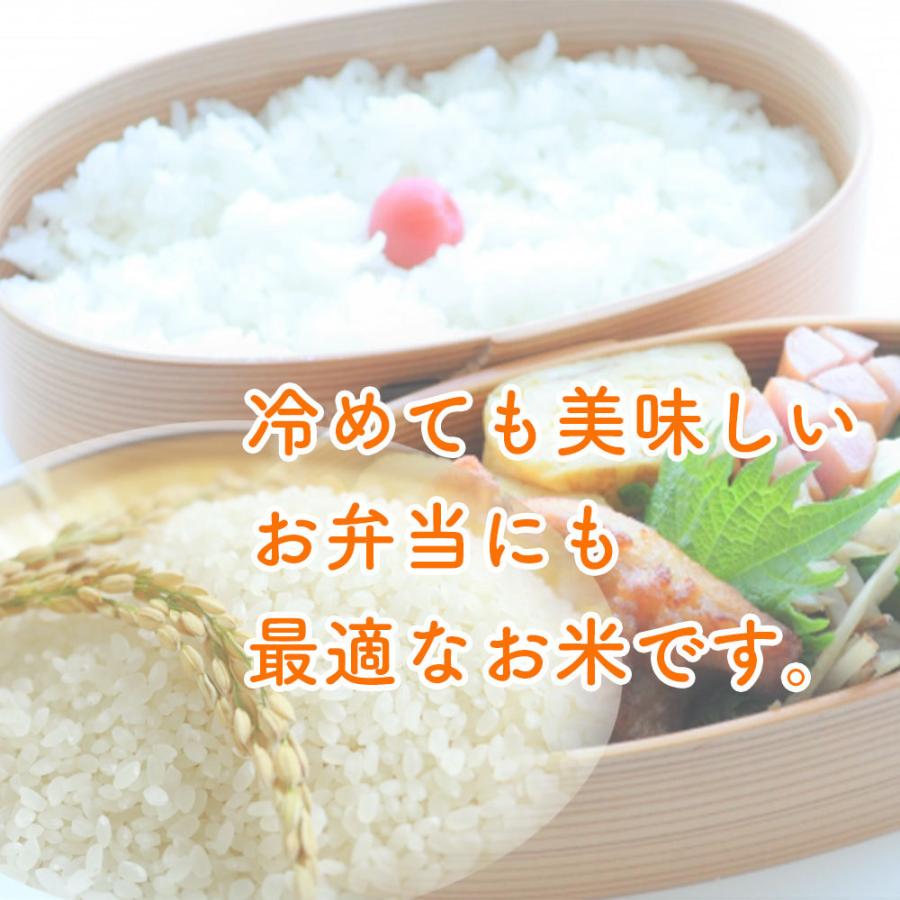 玄米　分づき米　有機無農薬栽培　会津産『縁結び』　　15kg_3
